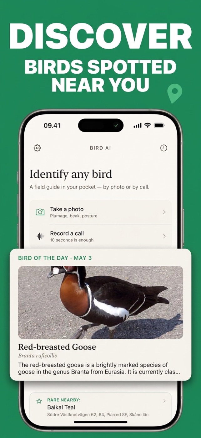 Bird ID sk&aelig;rmbillede 2