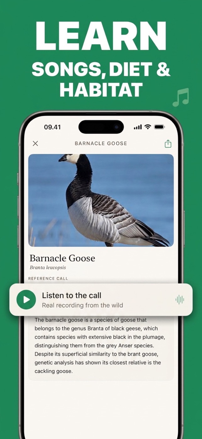Bird ID sk&aelig;rmbillede 3