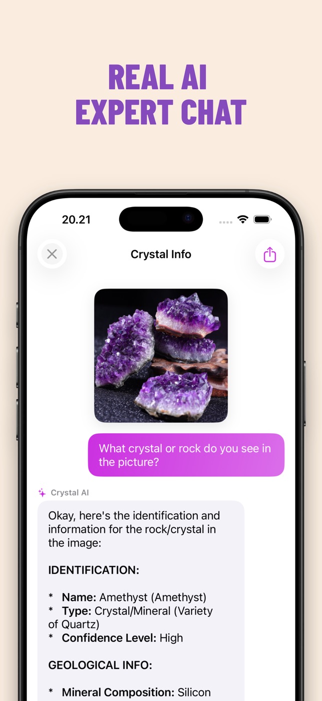 Crystal ID sk&aelig;rmbillede 2