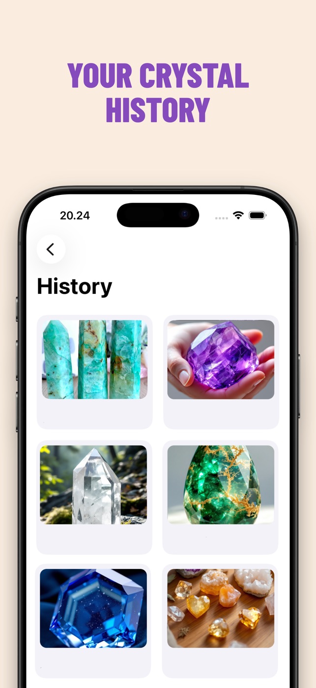 Crystal ID sk&aelig;rmbillede 4