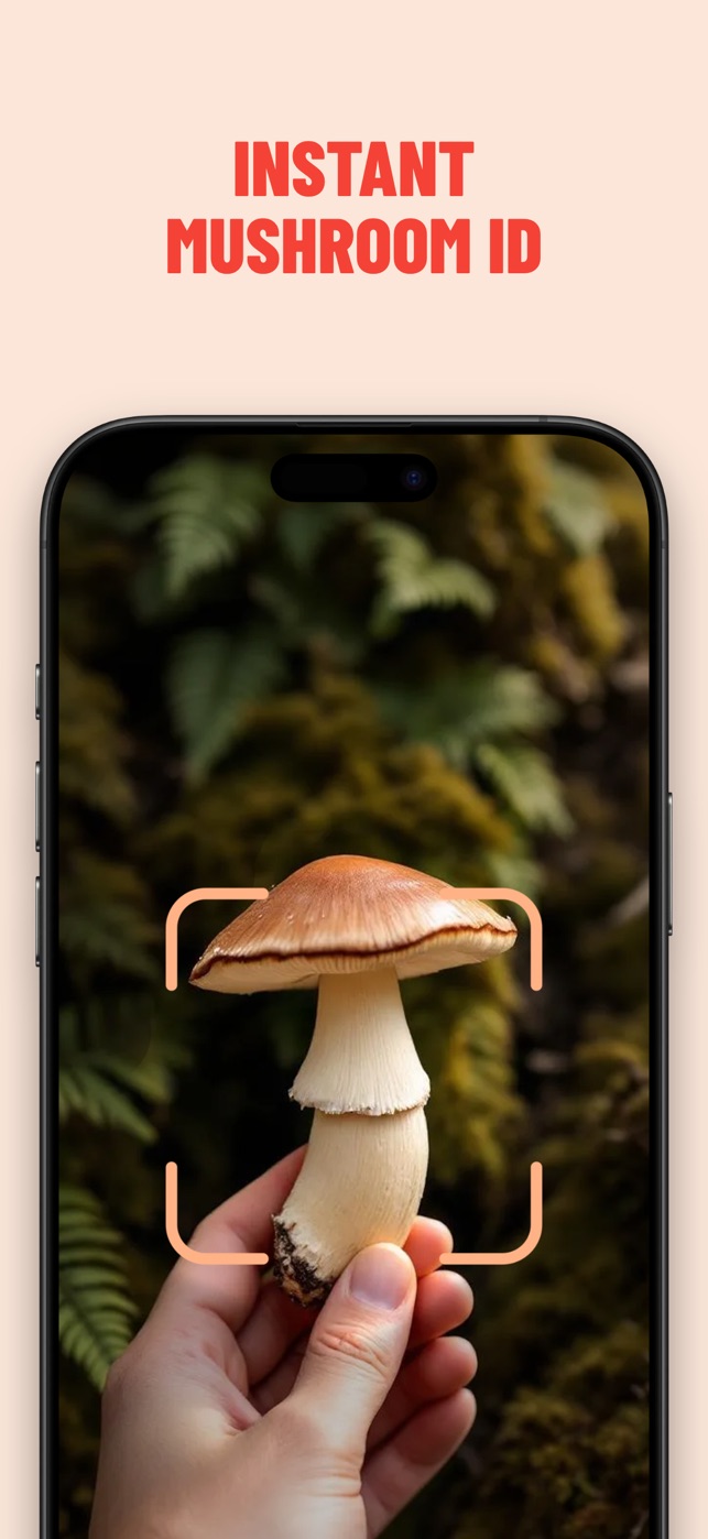 Mushroom ID sk&aelig;rmbillede 1