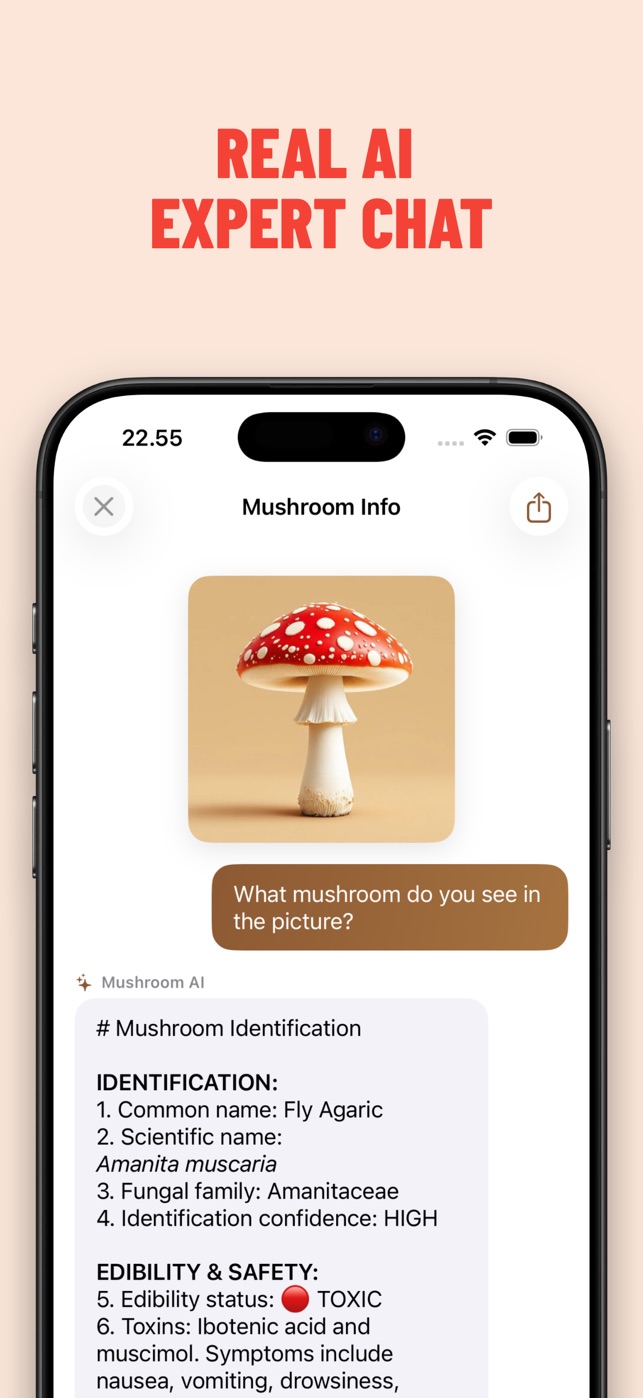 Mushroom ID sk&aelig;rmbillede 2