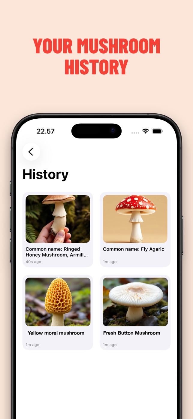 Mushroom ID sk&aelig;rmbillede 3